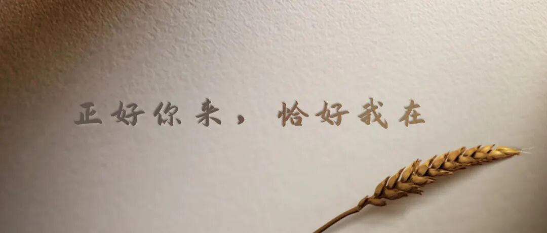 一个人还在穿5年前的衣服，只说明3个问题