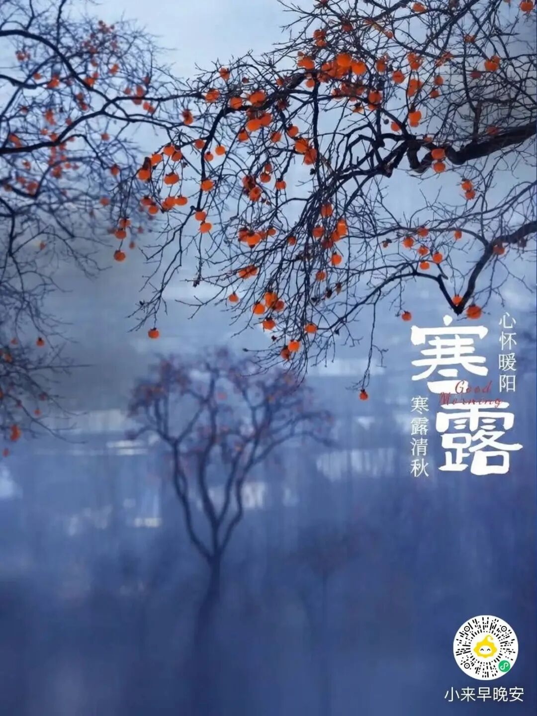病历书写不规范，为什么还会处罚医师？